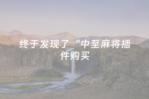 终于发现了“中至麻将插件购买（专用辅牌神器免安装）
