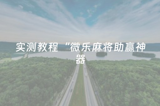 实测教程“微乐麻将助赢神器（专用辅牌神器免安装）