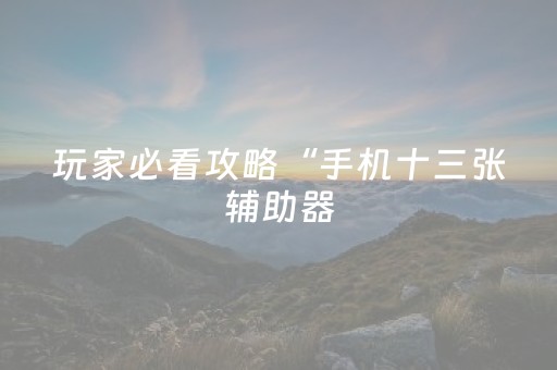 玩家必看攻略“手机十三张辅助器（专用辅牌神器免安装）