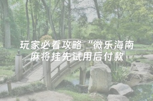 玩家必看攻略“微乐海南麻将挂先试用后付款（助赢神器通用版）