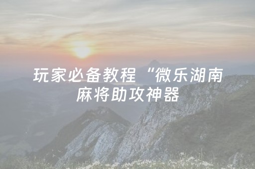 玩家必备教程“微乐湖南麻将助攻神器（专用辅牌神器免安装）