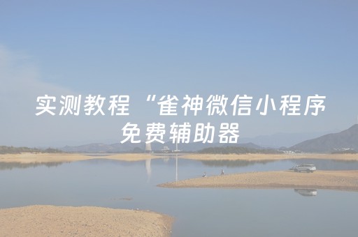 实测教程“雀神微信小程序免费辅助器（专用辅牌神器免安装）