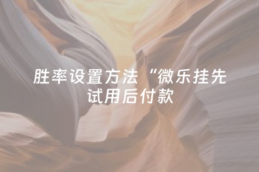 胜率设置方法“微乐挂先试用后付款（专用辅牌神器免安装）