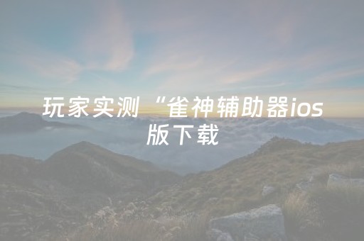 玩家实测“雀神辅助器ios版下载（专用辅牌神器免安装）