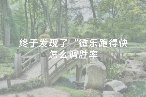 终于发现了“微乐跑得快怎么调胜率（助赢神器通用版）