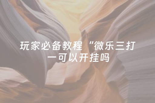 玩家必备教程“微乐三打一可以开挂吗（助赢神器通用版）