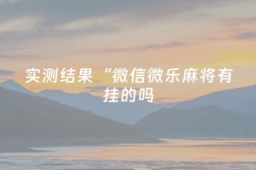 实测结果“微信微乐麻将有挂的吗（专用辅牌神器免安装）