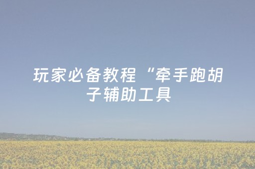 玩家必备教程“牵手跑胡子辅助工具（助赢神器通用版）