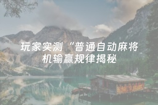 玩家实测“普通自动麻将机输赢规律揭秘（专用辅牌神器免安装）