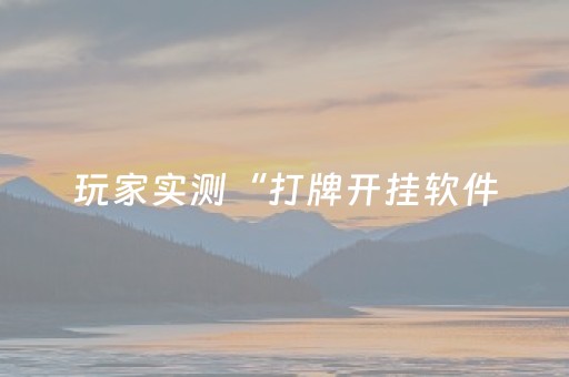 玩家实测“打牌开挂软件（专用辅牌神器免安装）