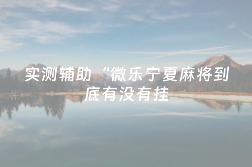实测辅助“微乐宁夏麻将到底有没有挂（专用辅牌神器免安装）