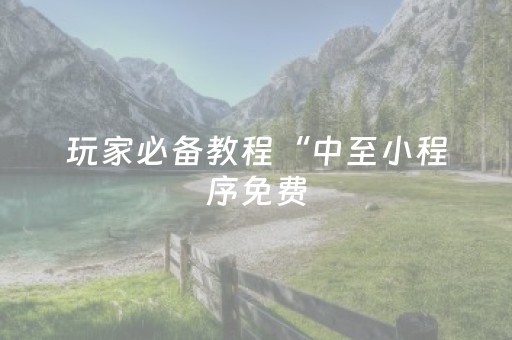 玩家必备教程“中至小程序免费（助赢神器通用版）