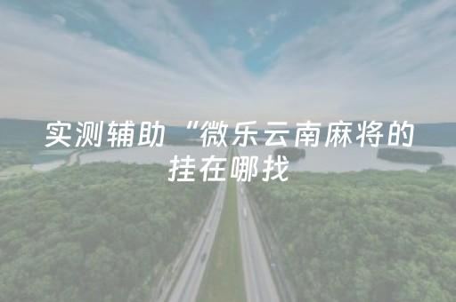 实测辅助“微乐云南麻将的挂在哪找（助赢神器通用版）
