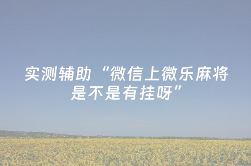实测辅助“微信上微乐麻将是不是有挂呀”（详细透视教程）-哔哩哔哩