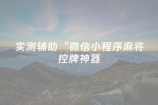 实测辅助“微信小程序麻将控牌神器（助赢神器通用版）