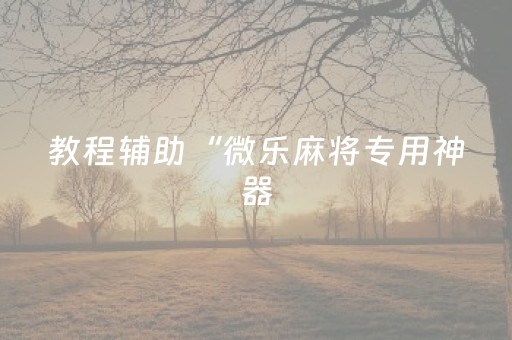 教程辅助“微乐麻将专用神器（专用辅牌神器免安装）