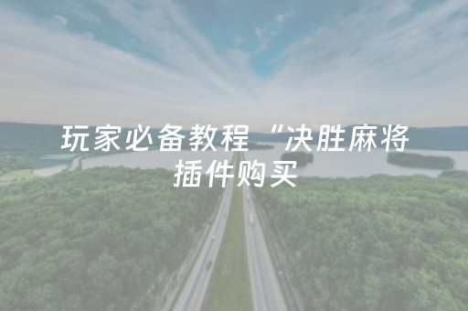 玩家必备教程“决胜麻将插件购买（专用辅牌神器免安装）