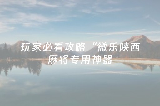 玩家必看攻略“微乐陕西麻将专用神器（助赢神器通用版）