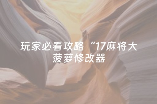 玩家必看攻略“17麻将大菠萝修改器（助赢神器通用版）