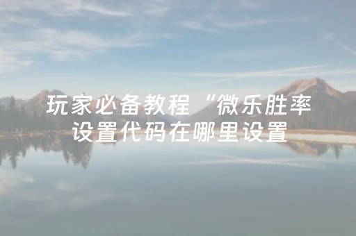 玩家必备教程“微乐胜率设置代码在哪里设置（专用辅牌神器免安装）