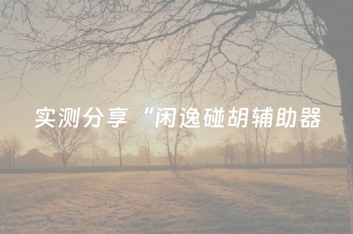 实测分享“闲逸碰胡辅助器（助赢神器通用版）