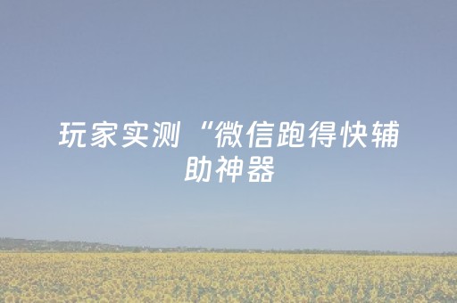 玩家实测“微信跑得快辅助神器（专用辅牌神器免安装）