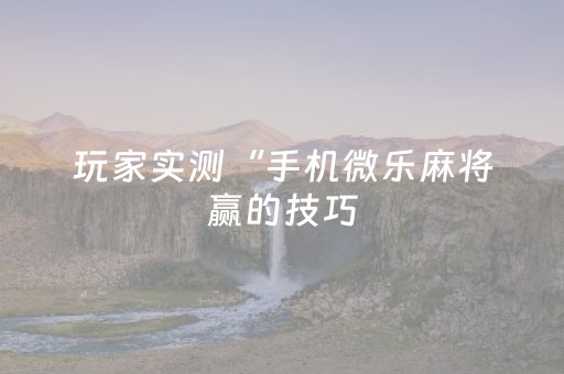 玩家实测“手机微乐麻将赢的技巧（专用辅牌神器免安装）