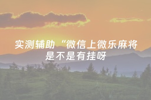 实测辅助“微信上微乐麻将是不是有挂呀（助赢神器通用版）