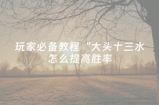玩家必备教程“大头十三水怎么提高胜率（助赢神器通用版）