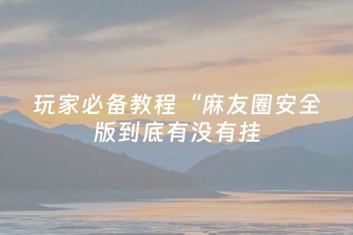 玩家必备教程“麻友圈安全版到底有没有挂（助赢神器通用版）