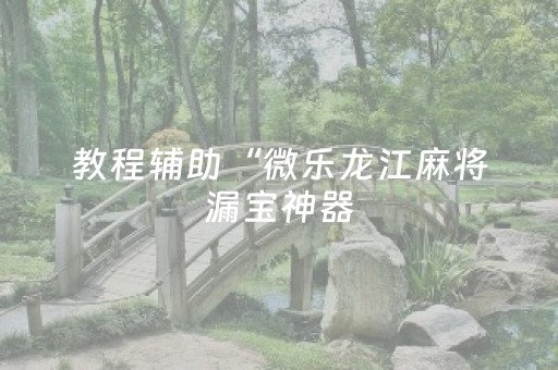 教程辅助“微乐龙江麻将漏宝神器（专用辅牌神器免安装）