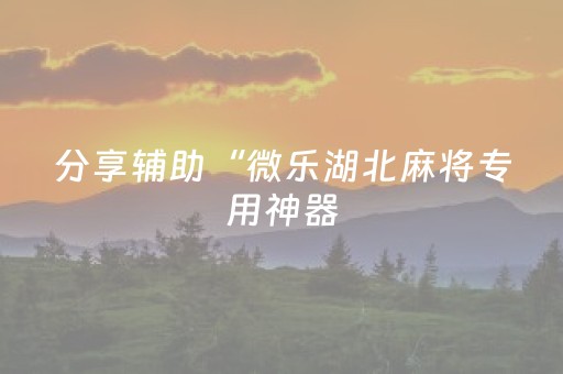 分享辅助“微乐湖北麻将专用神器（助赢神器通用版）