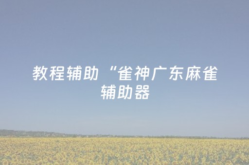 教程辅助“雀神广东麻雀辅助器（助赢神器通用版）