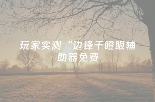 玩家实测“边锋干瞪眼辅助器免费（专用辅牌神器免安装）