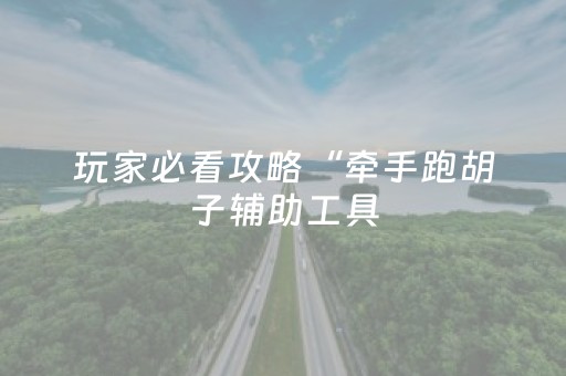 玩家必看攻略“牵手跑胡子辅助工具（专用辅牌神器免安装）
