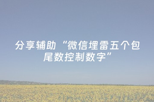 分享辅助“微信埋雷五个包尾数控制数字”（详细透视教程）-哔哩哔哩