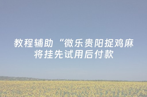 教程辅助“微乐贵阳捉鸡麻将挂先试用后付款（助赢神器通用版）
