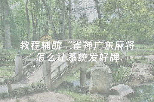 教程辅助“雀神广东麻将怎么让系统发好牌（专用辅牌神器免安装）