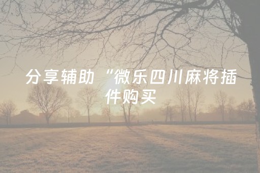 分享辅助“微乐四川麻将插件购买（专用辅牌神器免安装）