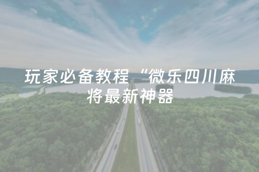 玩家必备教程“微乐四川麻将最新神器（专用辅牌神器免安装）