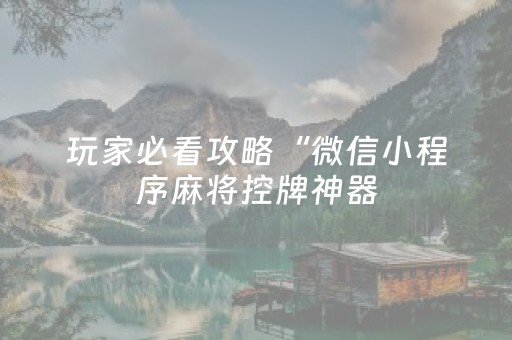 玩家必看攻略“微信小程序麻将控牌神器（专用辅牌神器免安装）