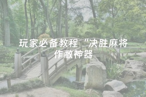 玩家必备教程“决胜麻将作敝神器（专用辅牌神器免安装）