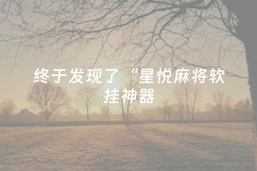 终于发现了“星悦麻将软挂神器（助赢神器通用版）