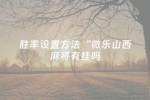 胜率设置方法“微乐山西麻将有挂吗（助赢神器通用版）