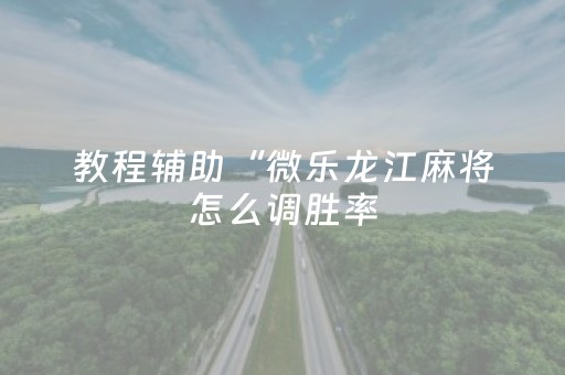 教程辅助“微乐龙江麻将怎么调胜率（助赢神器通用版）