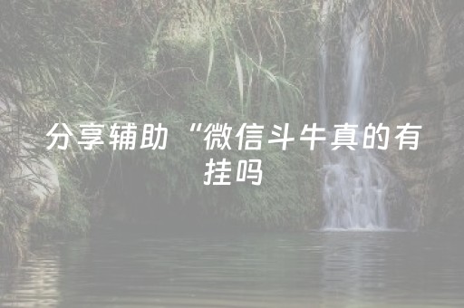 分享辅助“微信斗牛真的有挂吗（助赢神器通用版）
