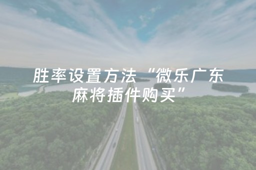 胜率设置方法“微乐广东麻将插件购买”（详细透视教程）-哔哩哔哩