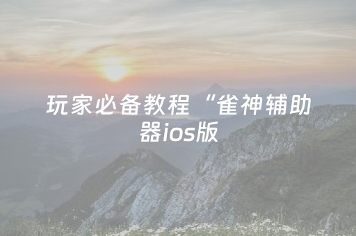 玩家必备教程“雀神辅助器ios版（助赢神器通用版）