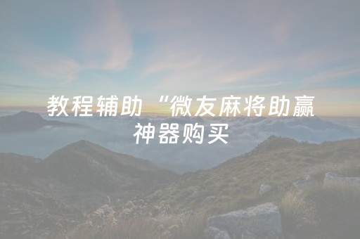 教程辅助“微友麻将助赢神器购买（助赢神器通用版）