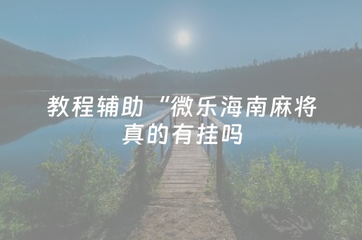 教程辅助“微乐海南麻将真的有挂吗（专用辅牌神器免安装）
